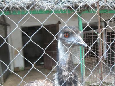 Прикрепленное изображение: IMG_1601.JPG